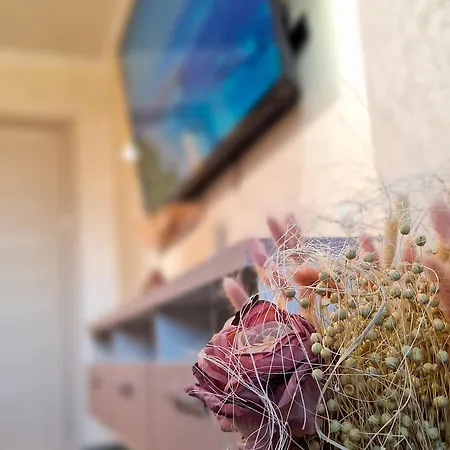 девио чар Ruse