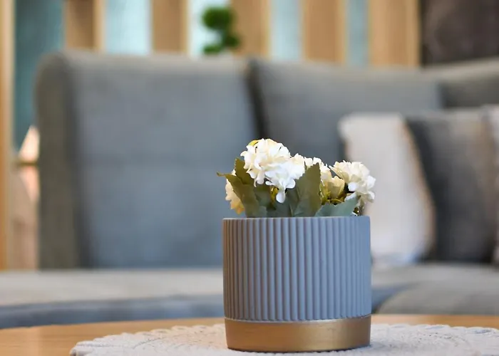 شقة девио чар *