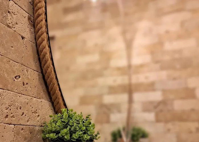 девио чар شقة روس